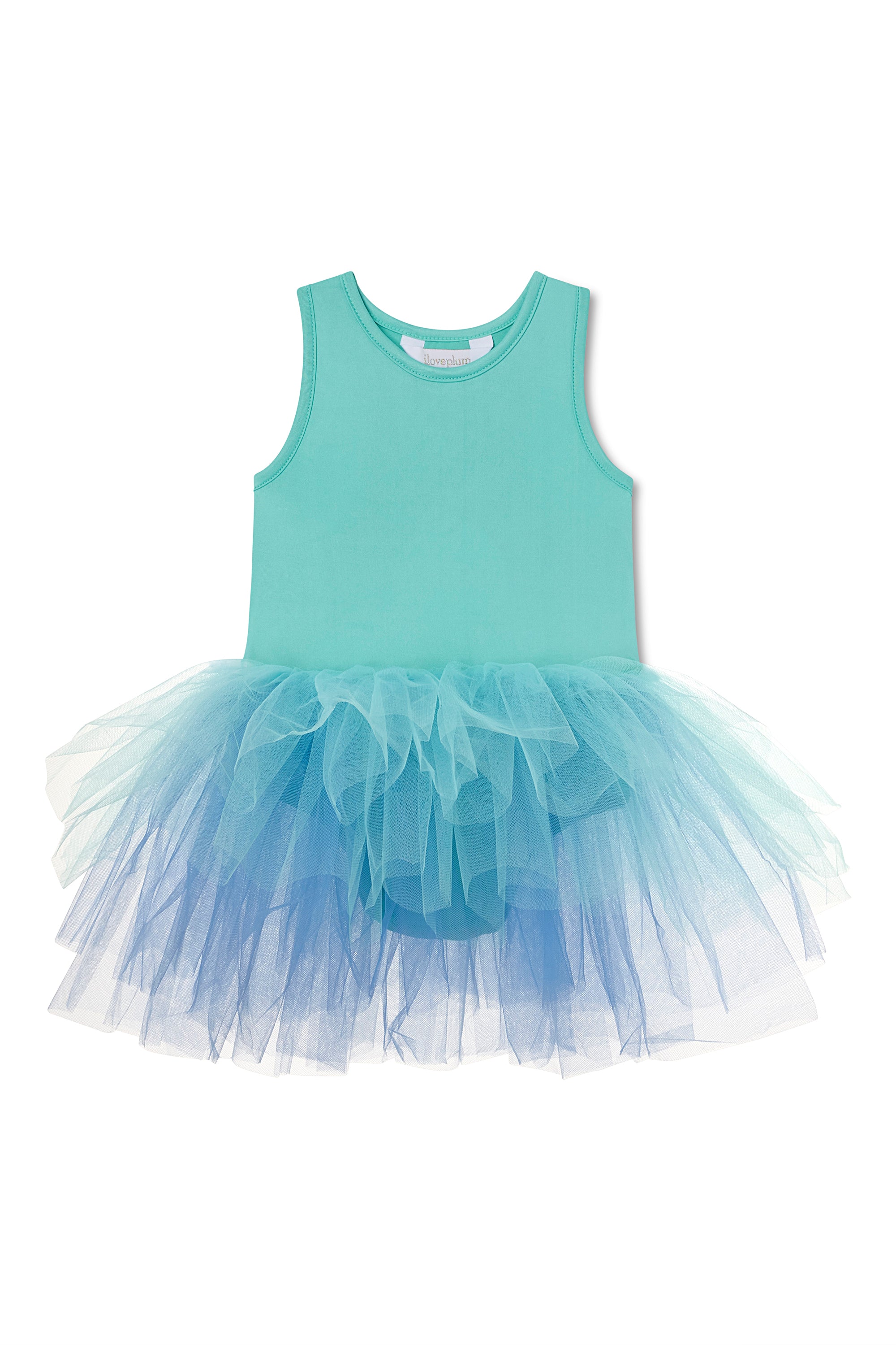 Store I love plum ombré tutu dress